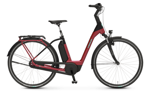 Vitality Eco 6 Comfort / Shimano Nexus 8-Gang Rücktritt / Bosch Active Line Plus