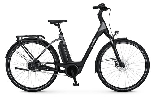 Vitality Eco 6 Comfort / Shimano Nexus 5-Gang / Bosch Performance Line