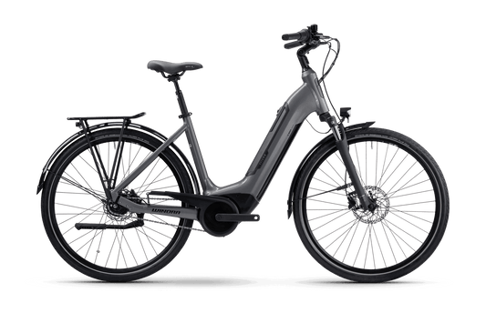 Winora Tria N8 und Tria N8f