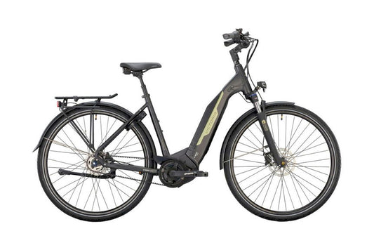 VICTORIA eTrekking 9.8