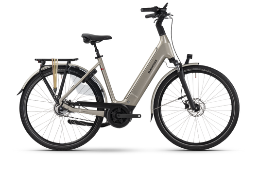 Batavus Finez E-go Power Ex